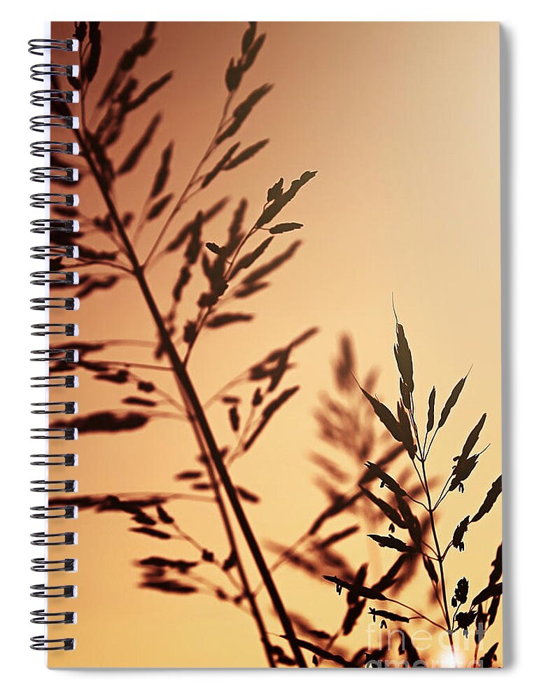 Grasses Spiral Notebook featuring the photograph Daybreak by Trish Mistric