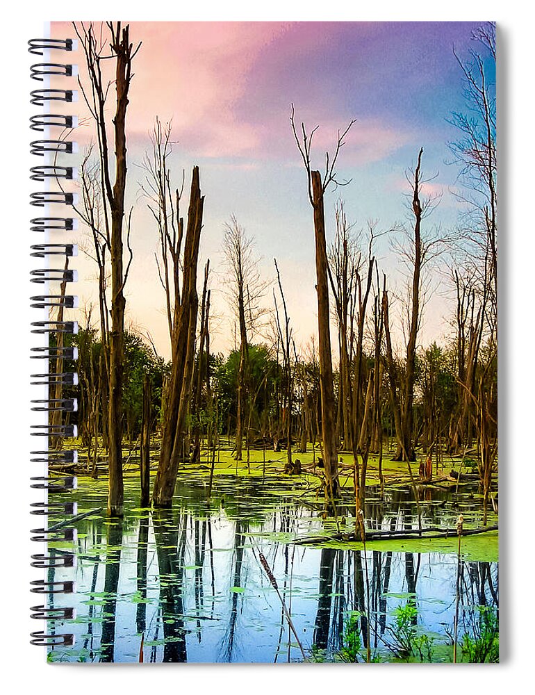 Michigan Spiral Notebook featuring the photograph Daylight in the Swamp by Lars Lentz