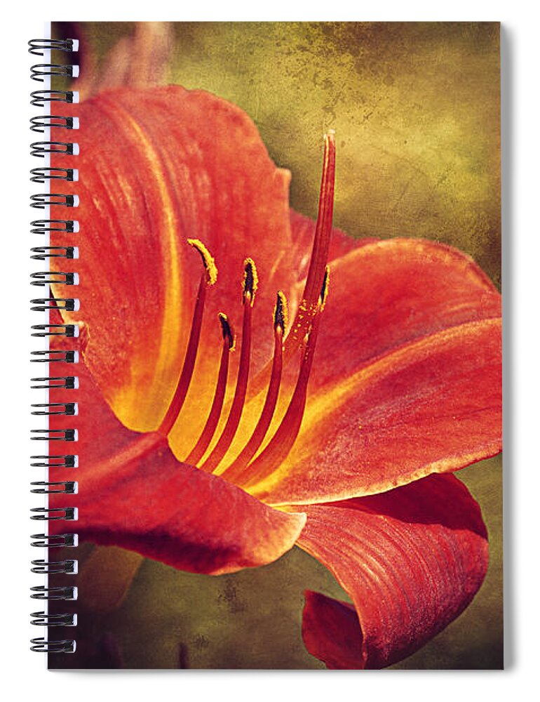 Summer Spiral Notebook featuring the photograph Daylily by Maria Angelica Maira