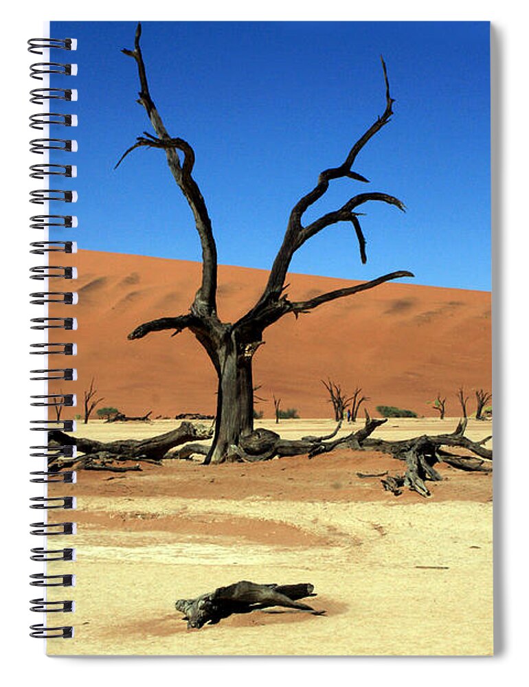Africa Spiral Notebook featuring the photograph Dead Vlei Tree - Namibia by Aidan Moran