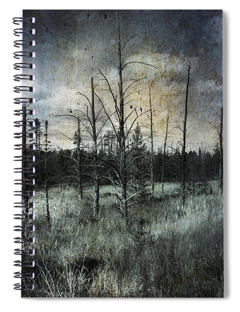 Evie Carrier Spiral Notebook featuring the photograph Deadwood by Evie Carrier