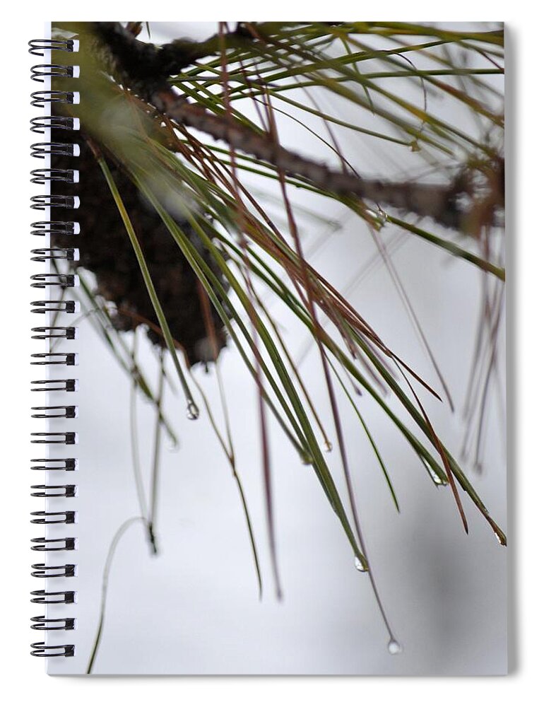 December's Raindrops Spiral Notebook featuring the photograph December's Raindrops by Maria Urso