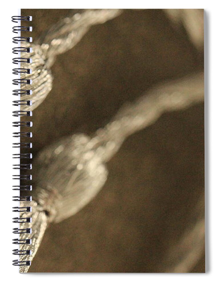  Bind Spiral Notebook featuring the photograph Decorative Tassel by Amanda Mohler