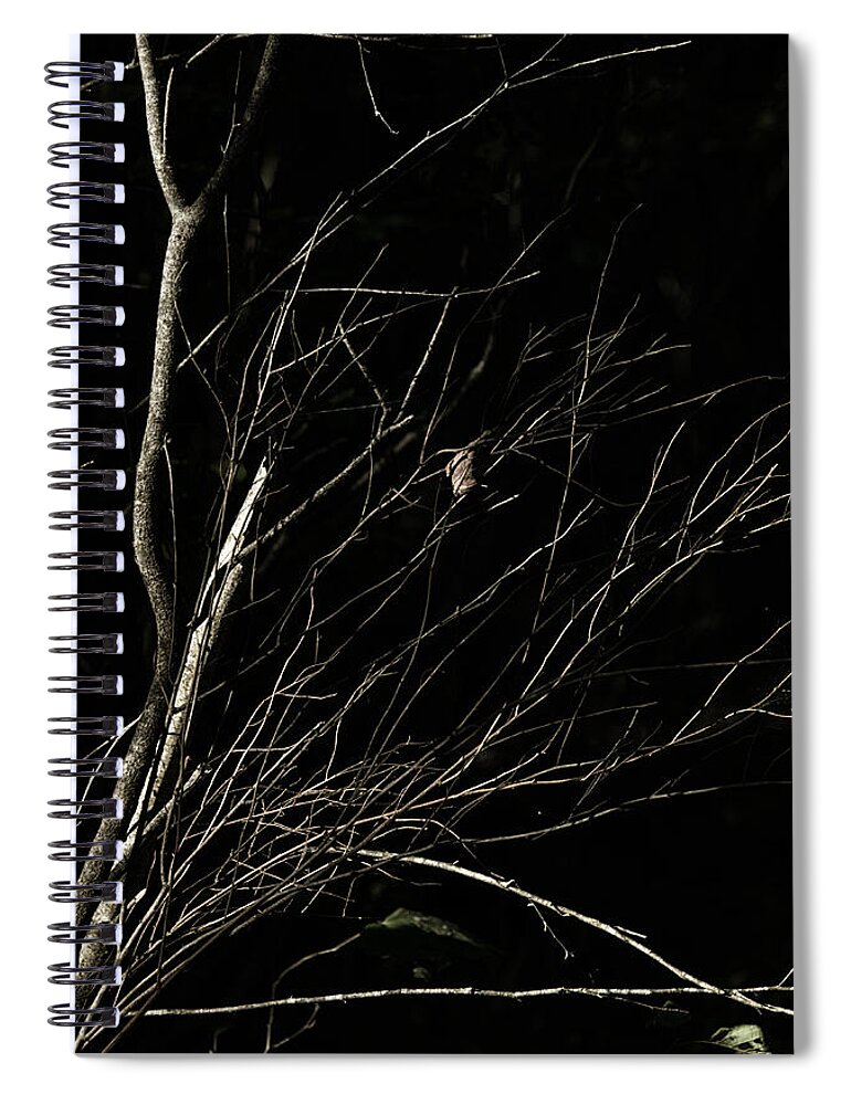 Abstract Spiral Notebook featuring the photograph Deep Brush by Sue Capuano