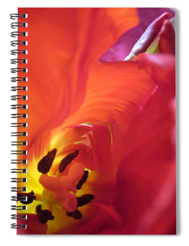 Tulip Spiral Notebook featuring the photograph Deepest by Rosita Larsson