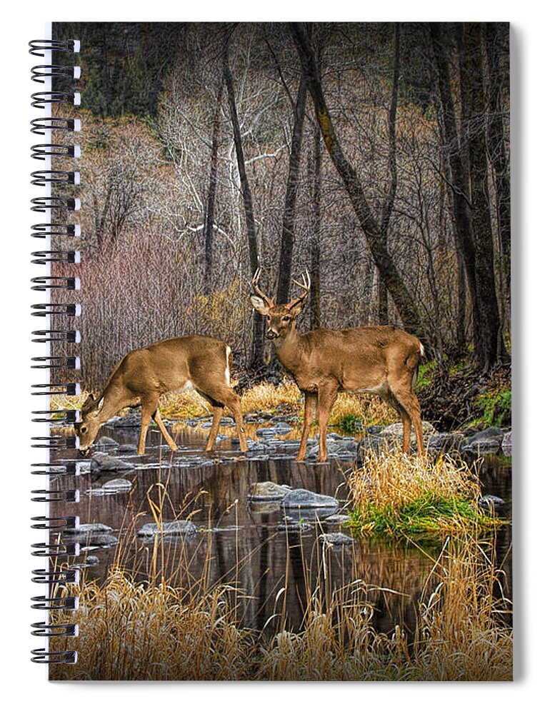 Art Spiral Notebook featuring the photograph Deer Crossing by Randall Nyhof
