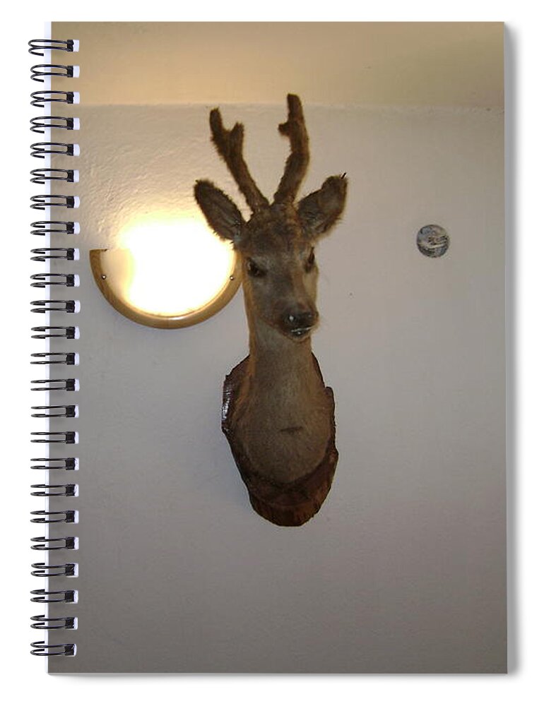 Deer Spiral Notebook featuring the photograph Deer Head by Moshe Harboun