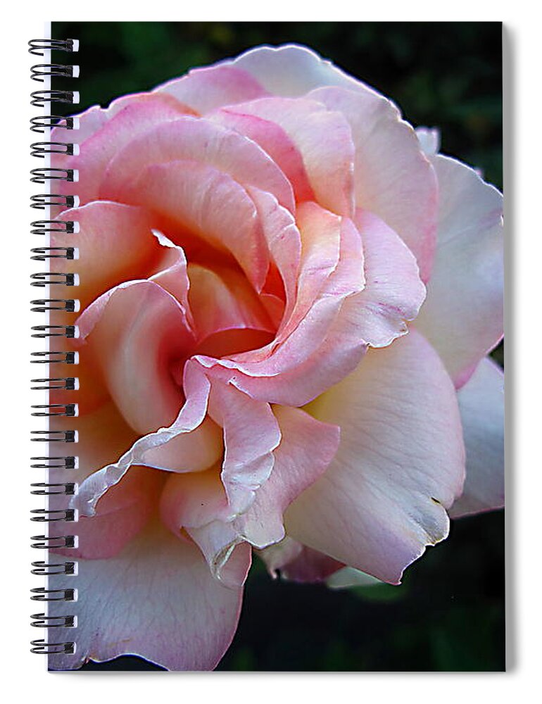 Rose Spiral Notebook featuring the photograph Delicate Pink by Joyce Dickens