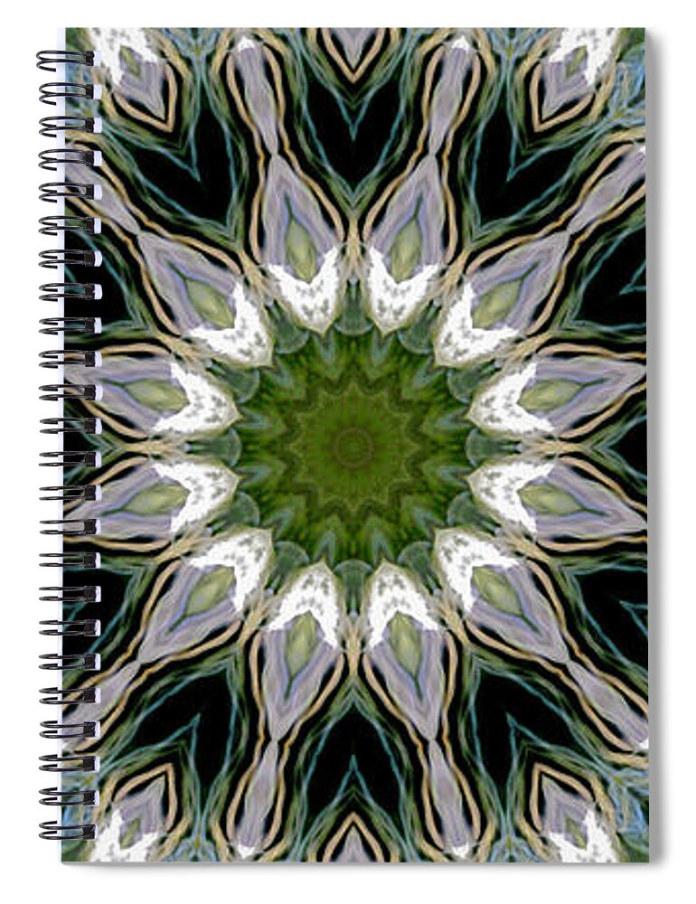 Mandala Spiral Notebook featuring the photograph Delight 12 by Lisa Lipsett
