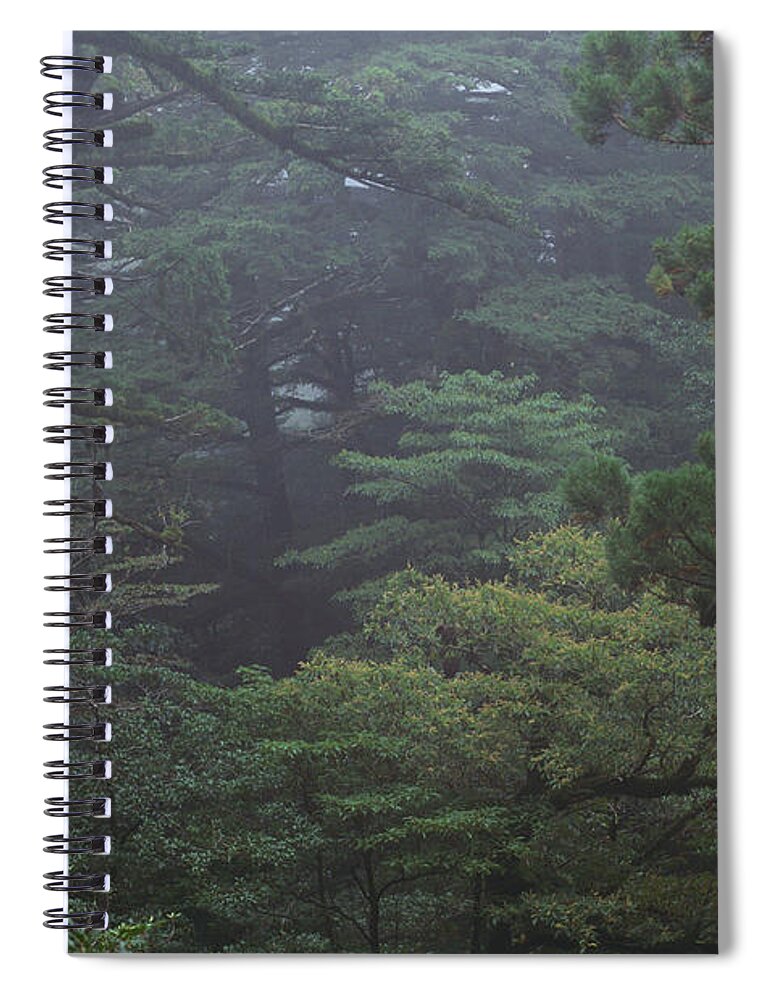 Outdoors Spiral Notebook featuring the photograph Dense Forest by Art Wolfe