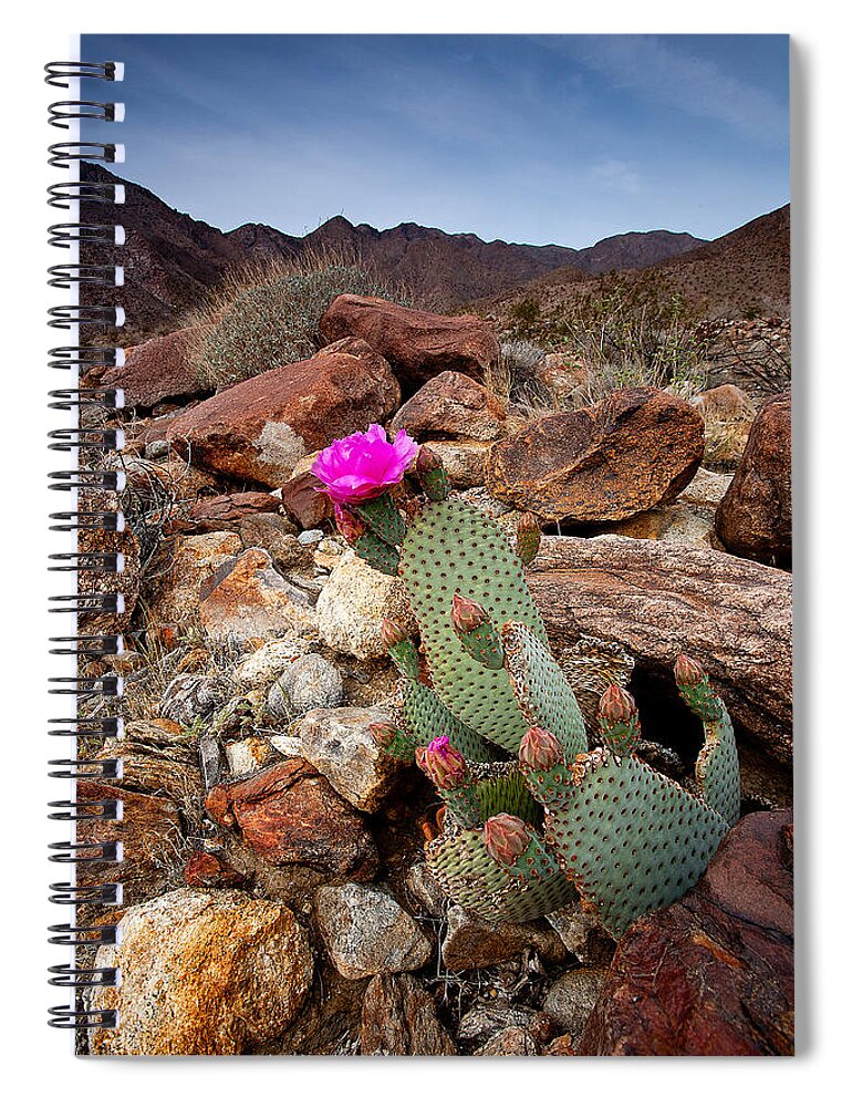 Anza-borrego Desert Spiral Notebook featuring the photograph Desert BeaverTail by Peter Tellone