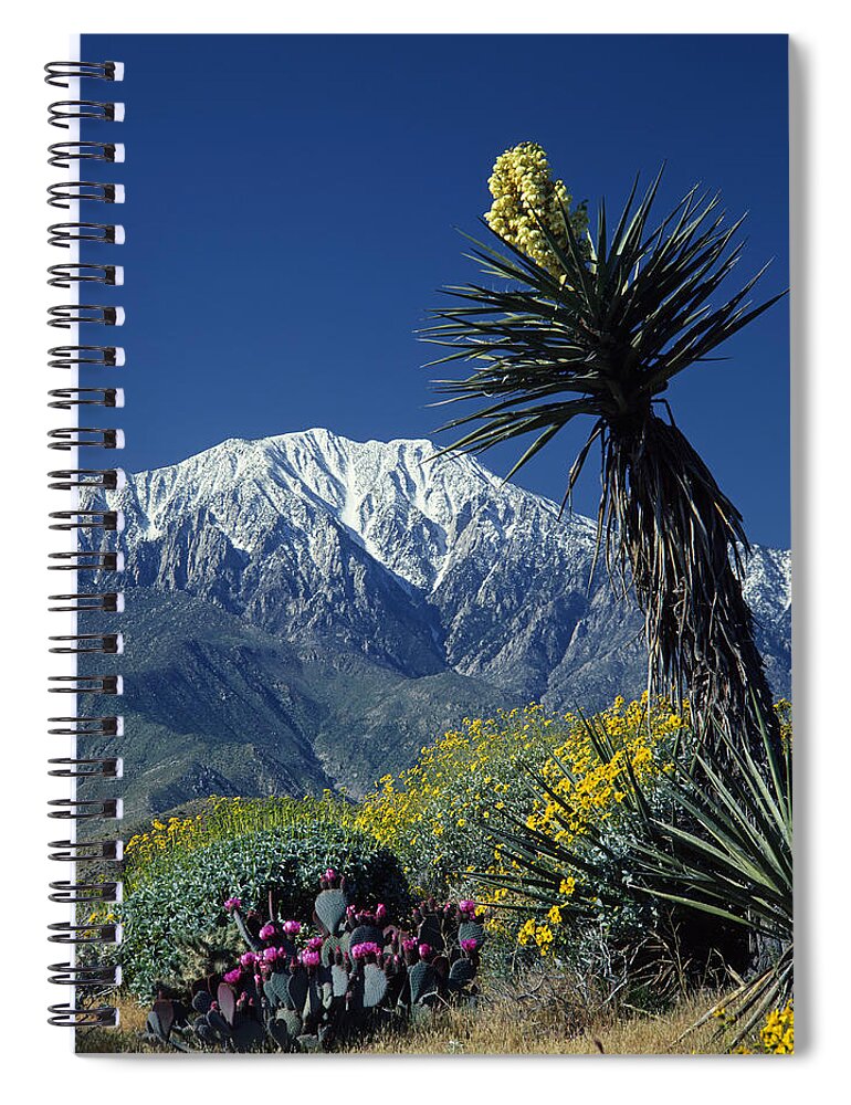 Desert Spiral Notebook featuring the photograph Desert Blooms by Ed Cooper Photography