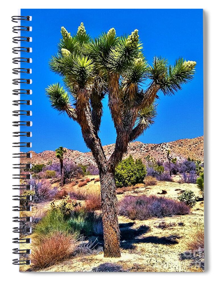 Desert Sun Spiral Notebook featuring the photograph Desert Spring by Angela J Wright