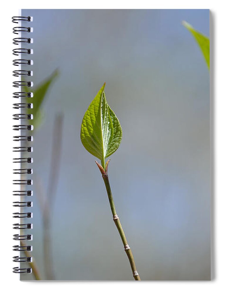 Indiana Spiral Notebook featuring the photograph Detail of Spring by Alys Caviness-Gober