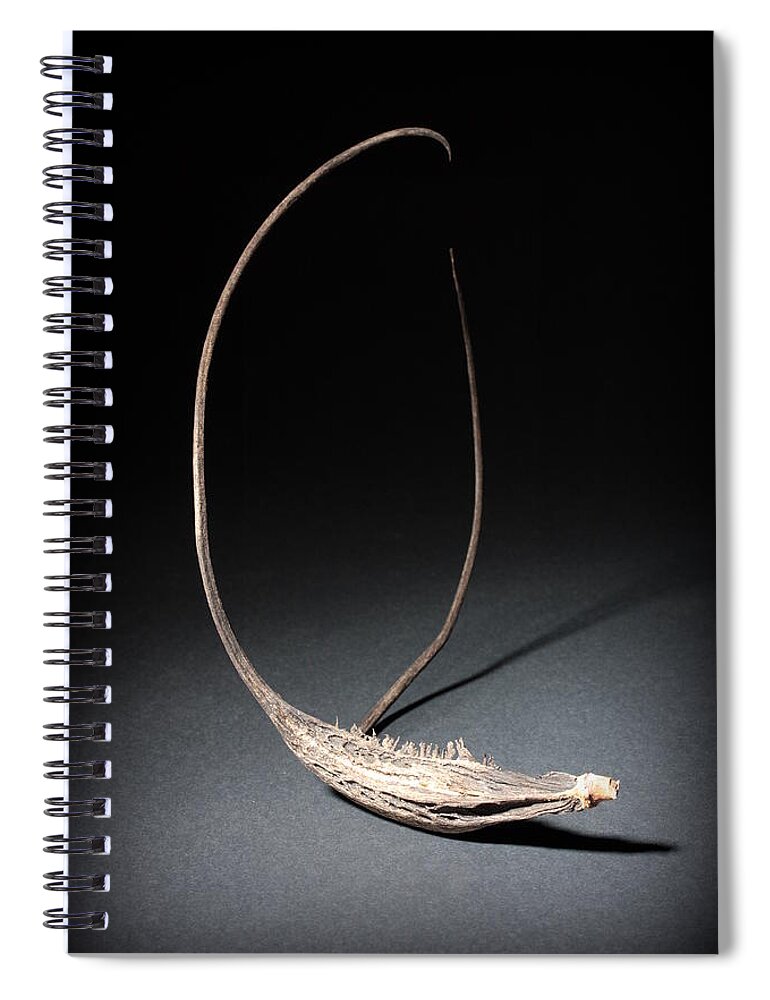 Botanical Spiral Notebook featuring the photograph Devil Claw by Joe Kozlowski
