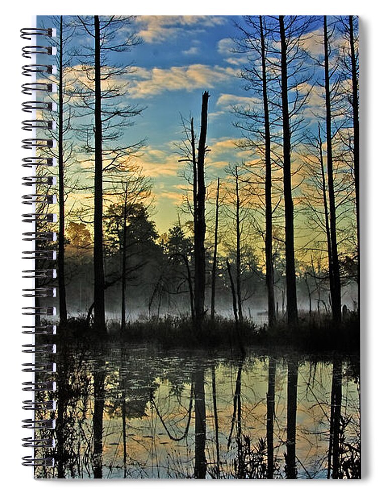 Landscape Spiral Notebook featuring the photograph Devils Den in The Pine Barrens by Louis Dallara