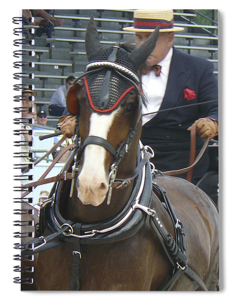 Devon Horse Show Spiral Notebook featuring the photograph Devon b by Mary Ann Leitch