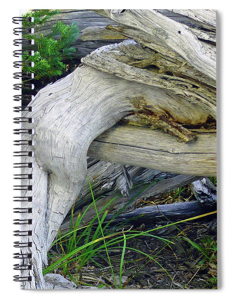 Abstract Spiral Notebook featuring the photograph Devoured by Lauren Leigh Hunter Fine Art Photography