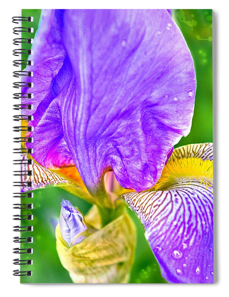 Purple Spiral Notebook featuring the photograph Dewey Iris by Adria Trail