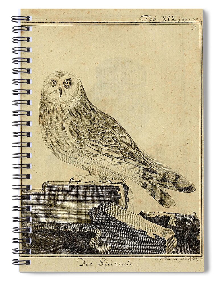 Stein Spiral Notebook featuring the drawing Die Stein Eule or Church Owl by Philip Ralley