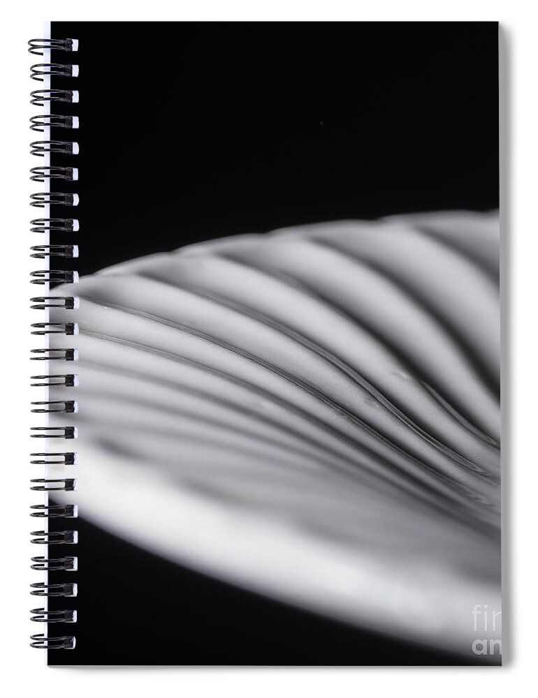 Dinner Plate Spiral Notebook featuring the photograph Dinner Plate by Art Whitton