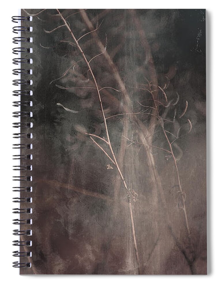Grass Spiral Notebook featuring the photograph Discrete by Mark Ross