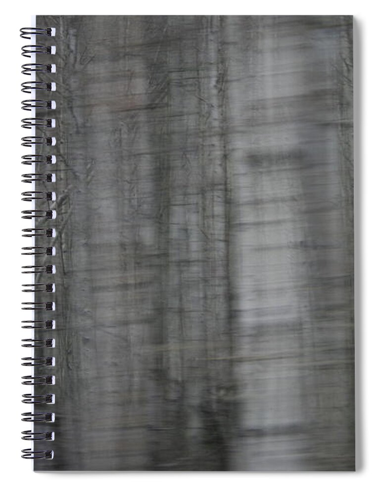 Abstract Spiral Notebook featuring the photograph Ditto by Crystal Nederman