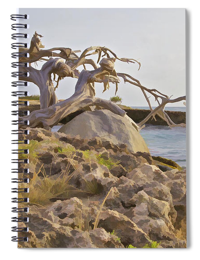 Aruba Spiral Notebook featuring the photograph Divi Divi Tree on the Coastline of Aruba by David Letts