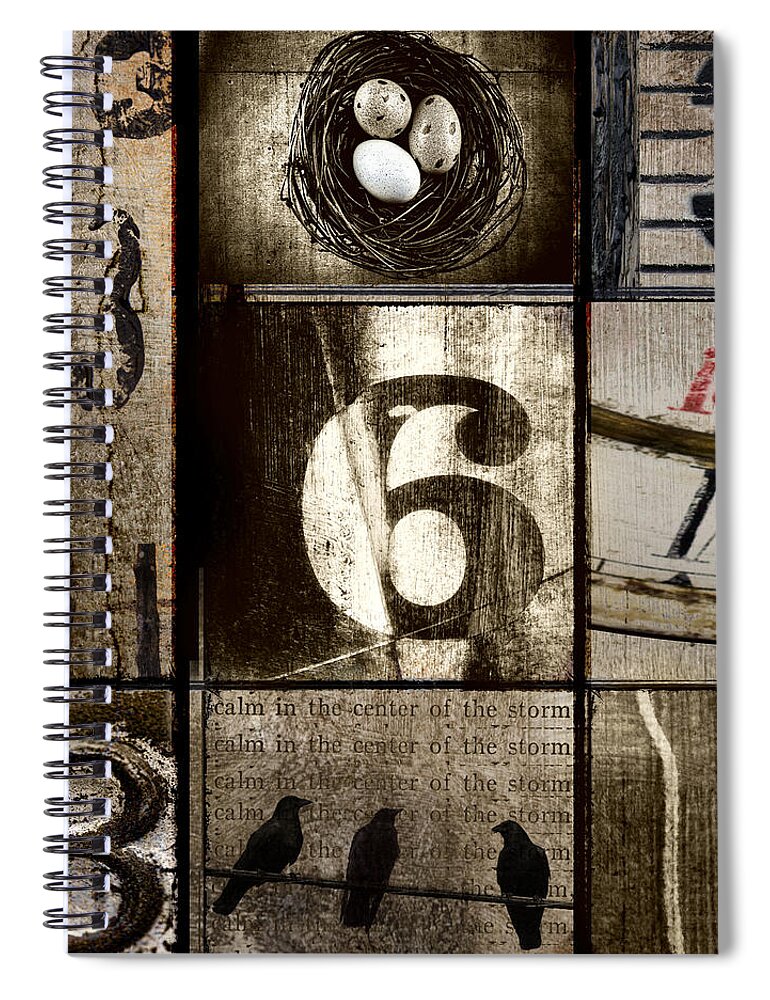 Three Spiral Notebook featuring the Divisible By Three by Carol Leigh