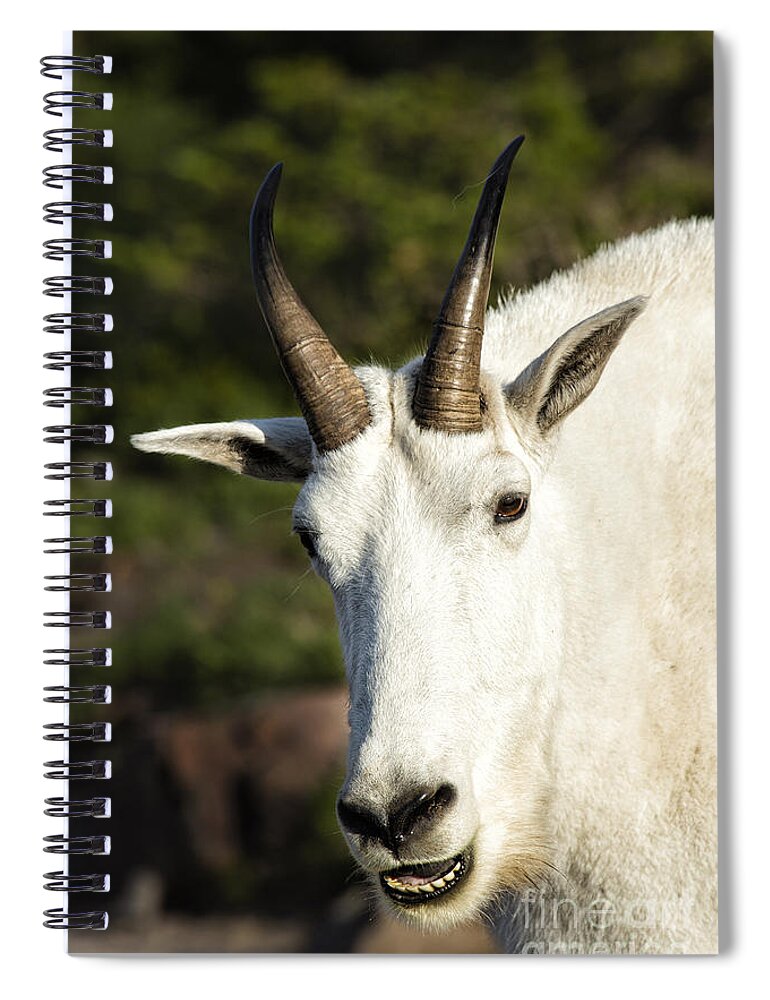Glacier Spiral Notebook featuring the photograph Do You Know The Time by Timothy Hacker