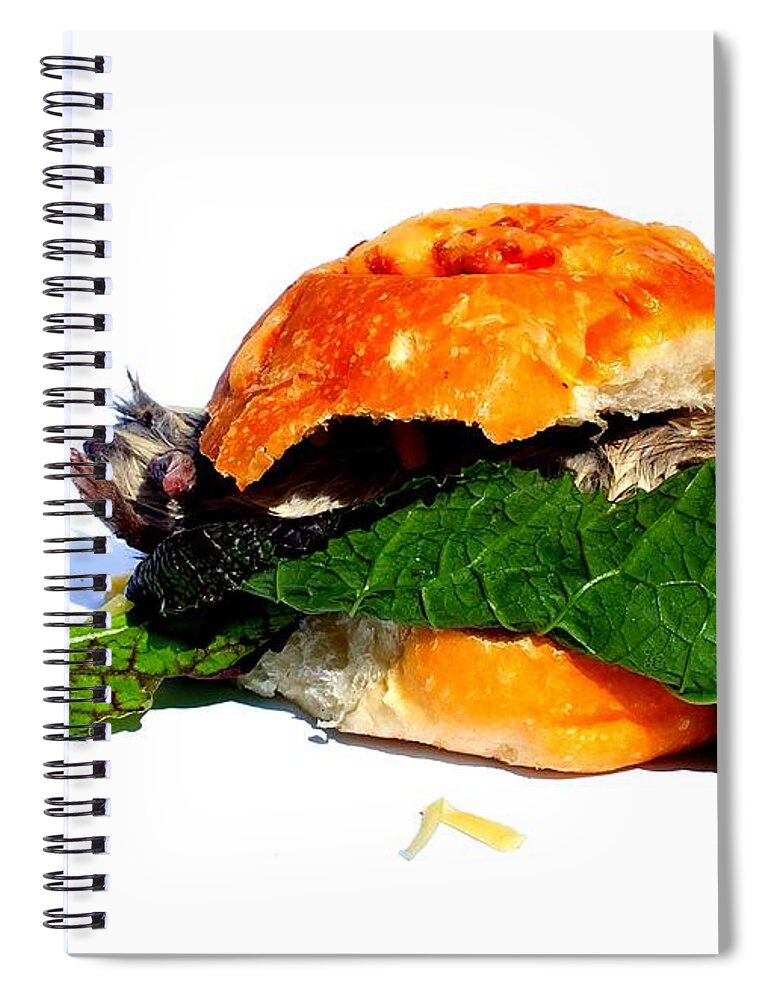Rat Spiral Notebook featuring the photograph Do you want flies with that? by Guy Pettingell