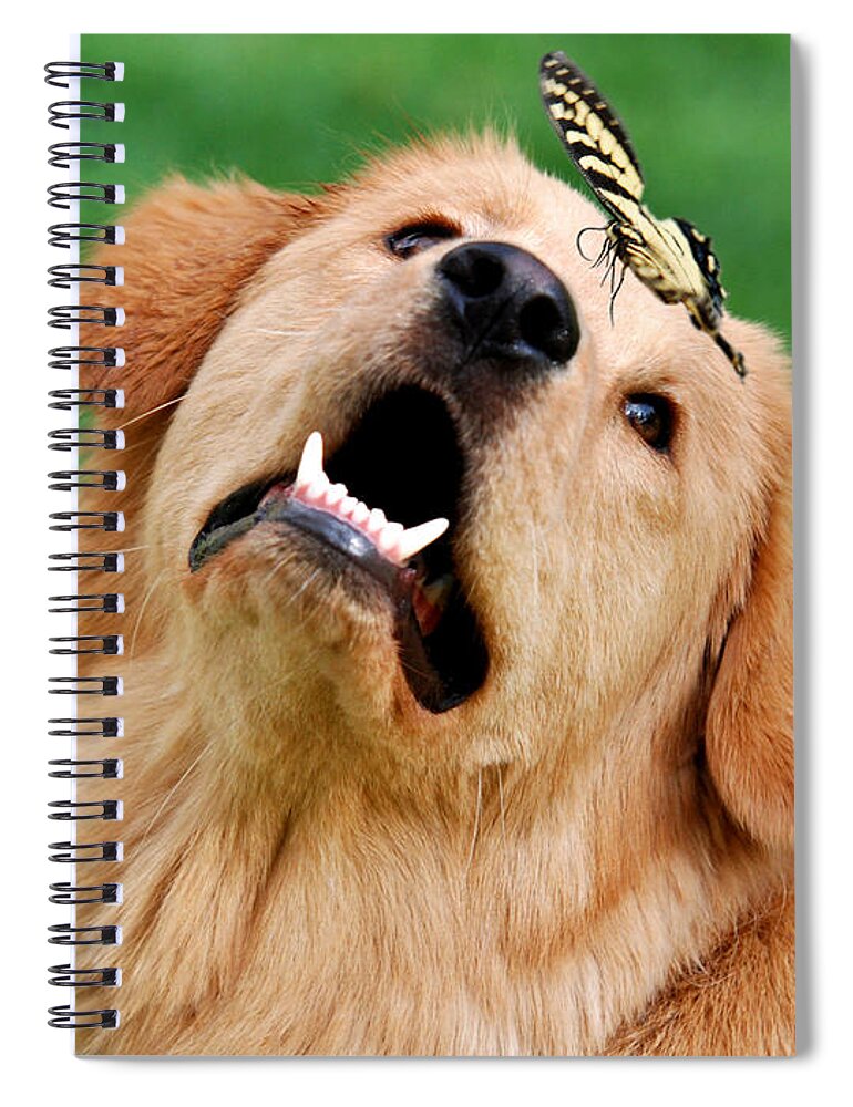 Dog Spiral Notebook featuring the photograph Dog And Butterfly by Christina Rollo