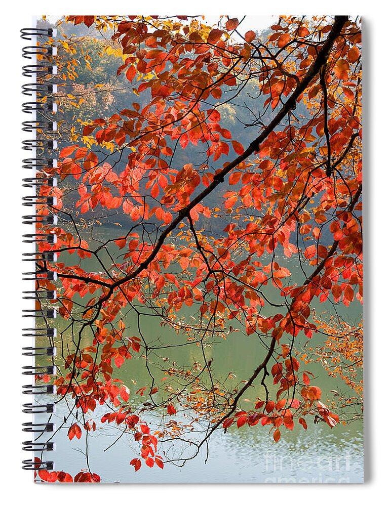 Dogwood Spiral Notebook featuring the photograph Dogwood Tree by Kenneth Murray