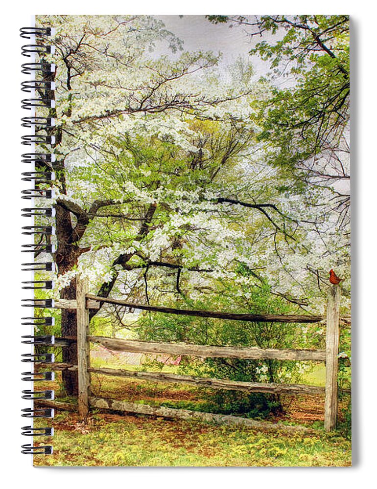 Texture Spiral Notebook featuring the photograph Dogwoods and Red Birds by Darren Fisher