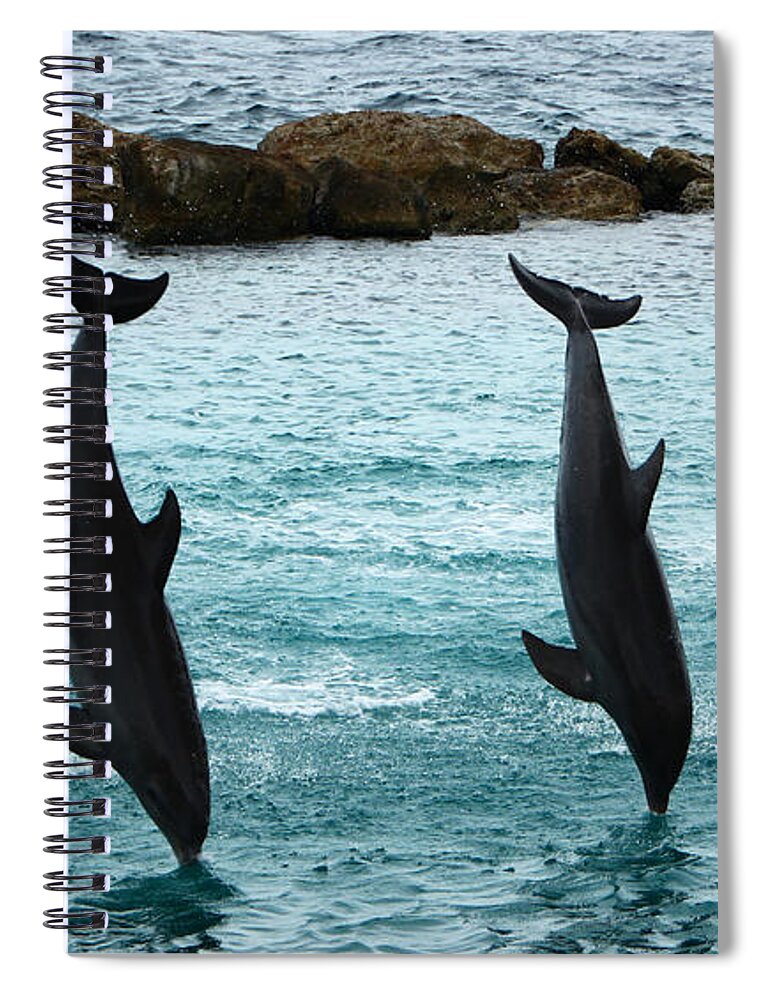 Dolphin Spiral Notebook featuring the photograph Upside down by Adriana Zoon