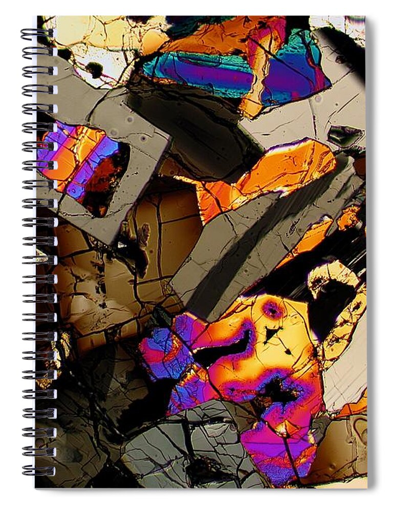 D'orbigney Meteorite Spiral Notebook featuring the photograph Under The Sea by Hodges Jeffery