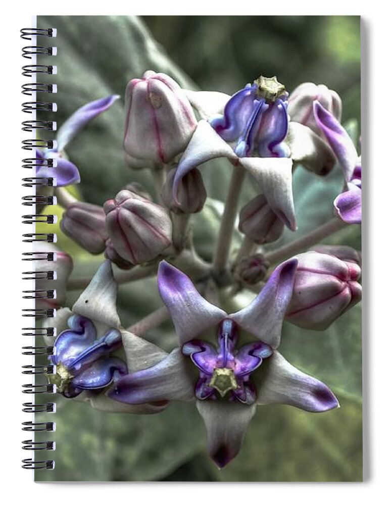 Michelle Meenawong Spiral Notebook featuring the photograph Dork Rak by Michelle Meenawong