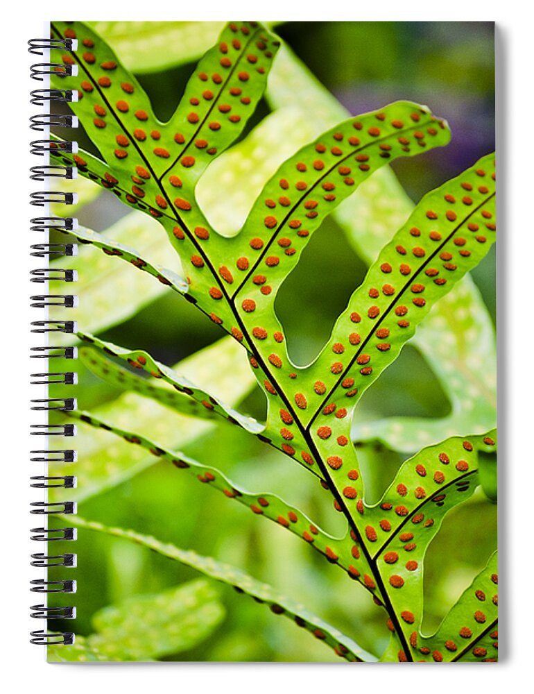 Botanical Spiral Notebook featuring the photograph Dotty by Christi Kraft