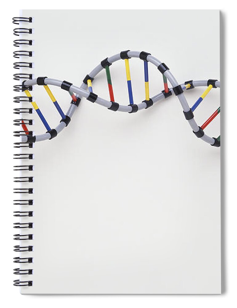 Biology Spiral Notebook featuring the photograph Double Helix Dna Model by Andy Crawford / Dorling Kindersley