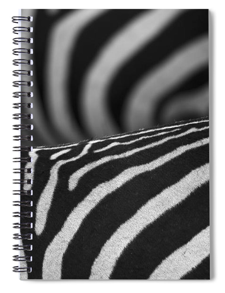 Festblues Spiral Notebook featuring the photograph Double Vision... by Nina Stavlund