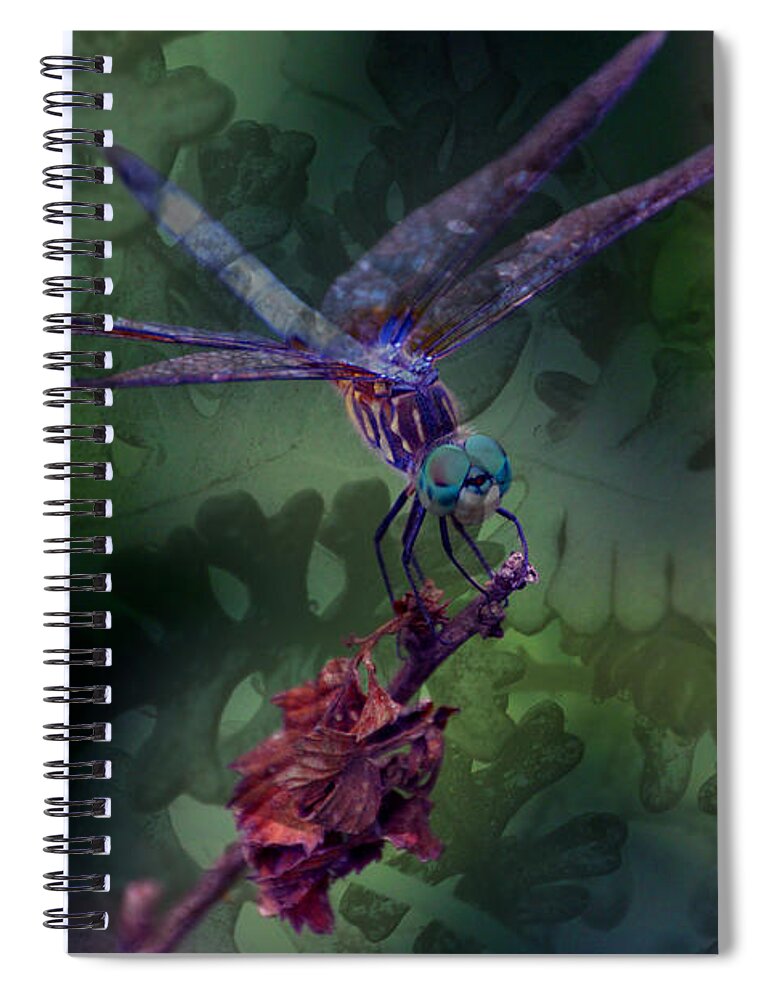 Blue Dasher Spiral Notebook featuring the photograph Dragonfly 4 by Lesa Fine by Lesa Fine