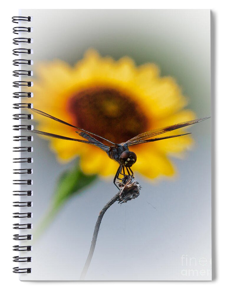 Animal Spiral Notebook featuring the photograph Dragonfly On Yellow by Robert Frederick
