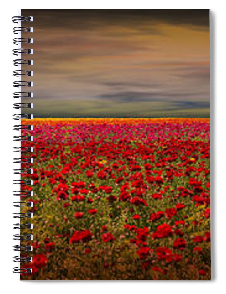Drama Spiral Notebook featuring the photograph Drama over the Flower Fields by Angela Stanton