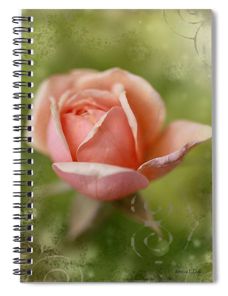 Dream Rose Spiral Notebook featuring the photograph Dream Rose by Bellesouth Studio