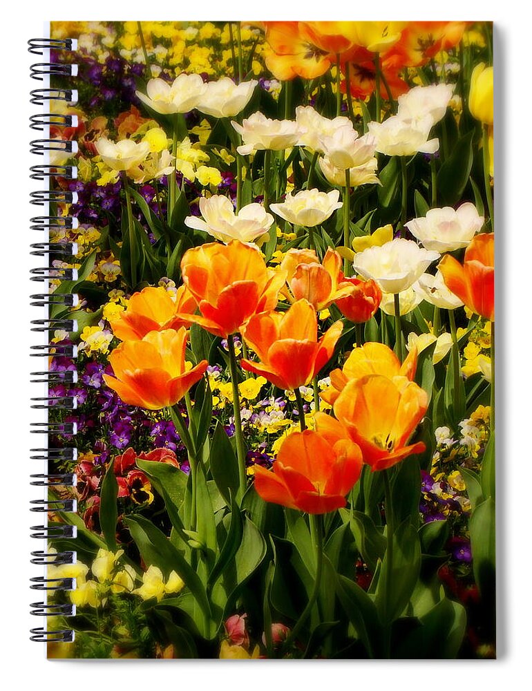 Fine Art Spiral Notebook featuring the photograph Dreaming in Color by Rodney Lee Williams
