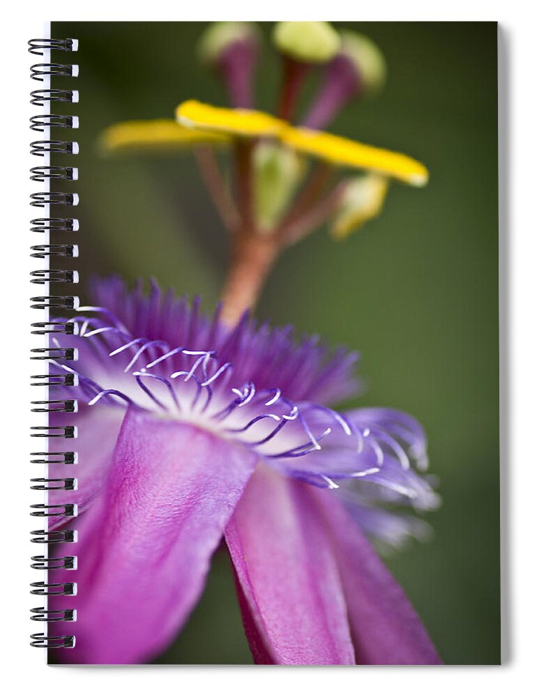  Passionflower Spiral Notebook featuring the photograph Dreamy Passion by Priya Ghose