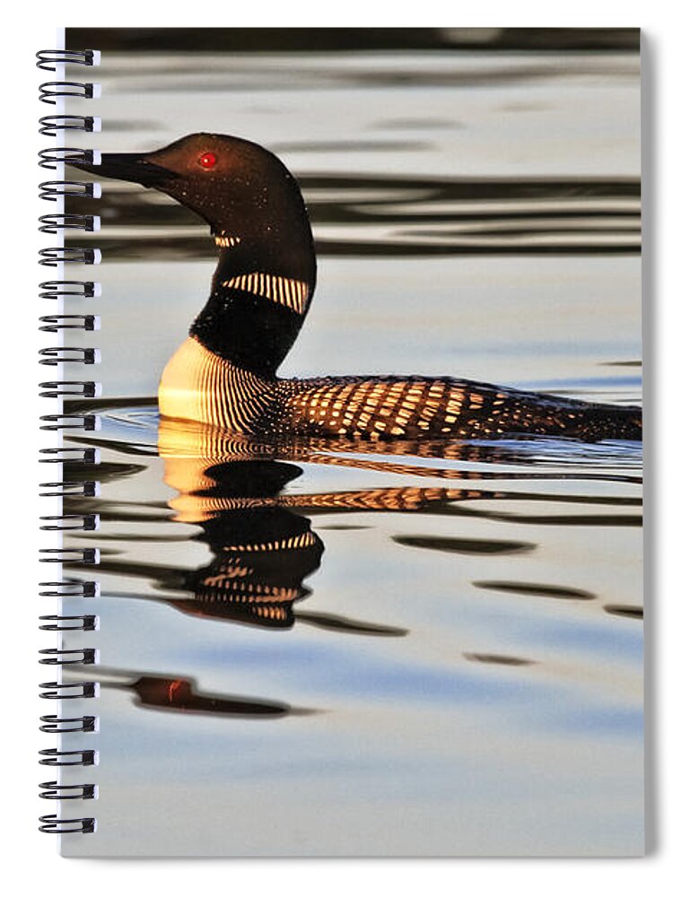 Loon Spiral Notebook featuring the photograph Drifting by Jan Killian