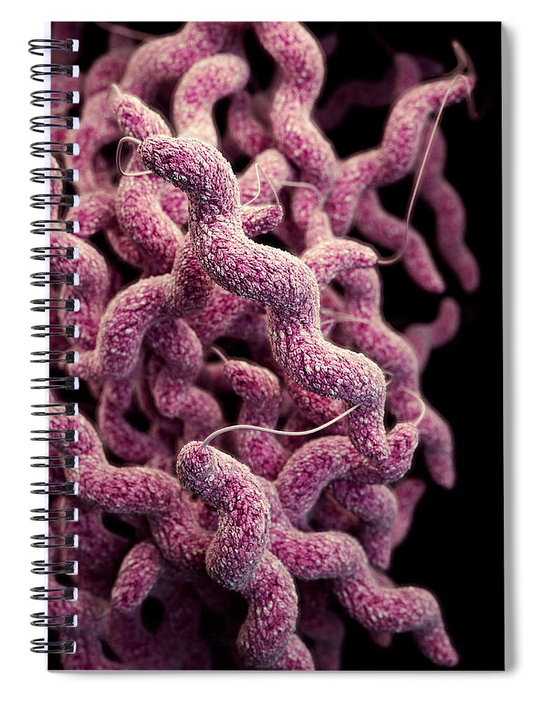 Drug Resistant Spiral Notebook featuring the photograph Drug-resistant Campylobacter by Science Source