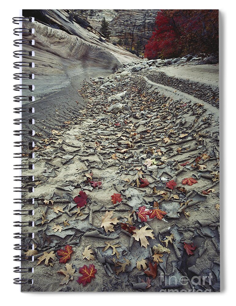 River Channel Spiral Notebook featuring the photograph Dry River In Zion Np by Art Wolfe