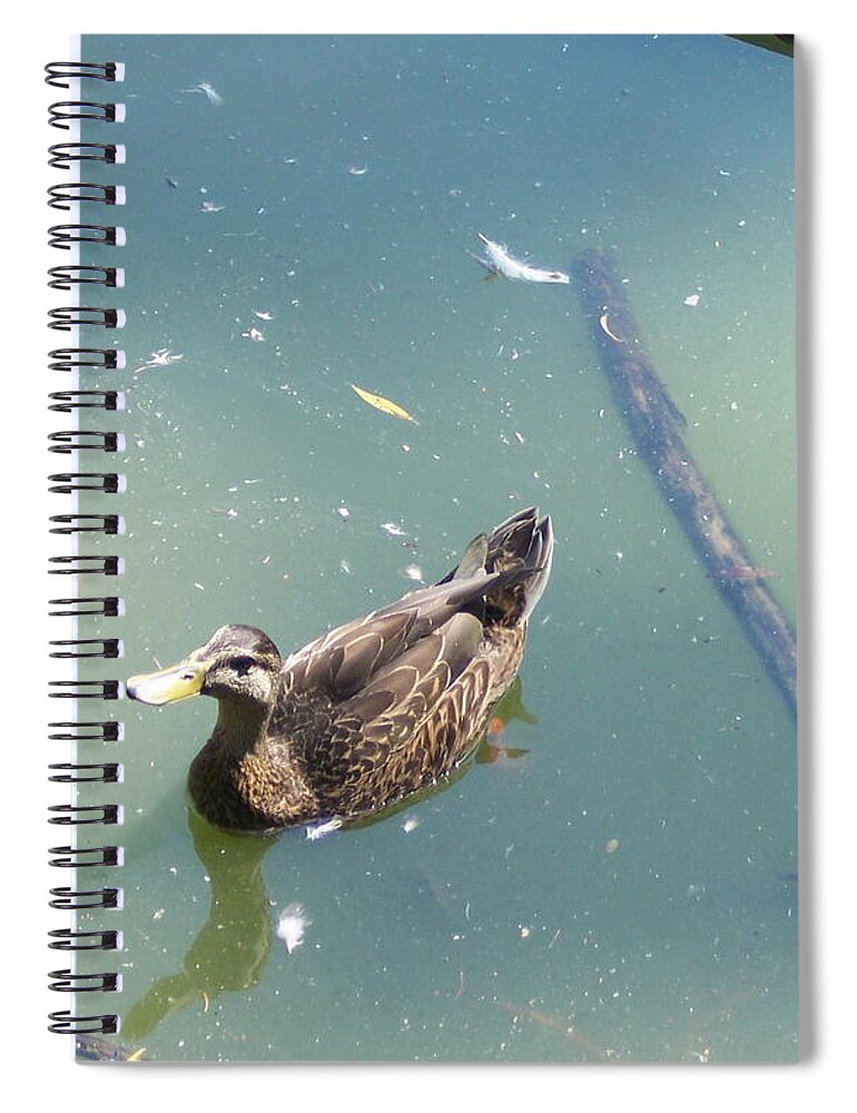Duck Spiral Notebook featuring the photograph Duck in Pond by Michelle Miron-Rebbe